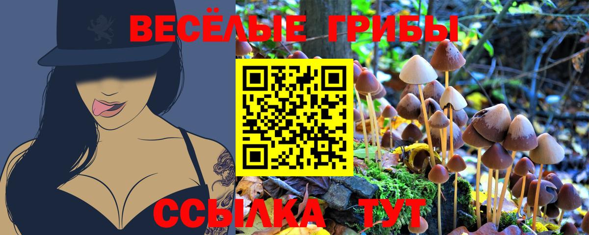 Псилоцибиновые грибы GOLDEN TEACHER  Вход с VPN  где купить наркоту  Галлюциногенные грибы MAGIC MUSHROOMS  Спасск-Дальний 